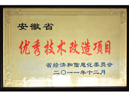 優秀技改項目(Outstanding technology?reform?program)